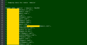 Dark Web Hosting provider database leaked by Hacker