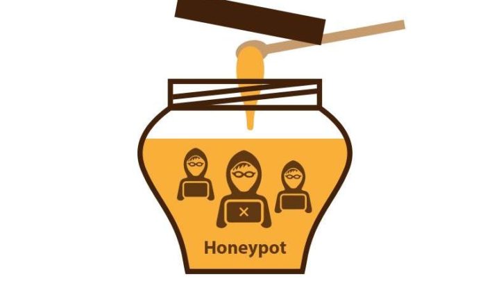 What is a Honeypots ? What are the types ?